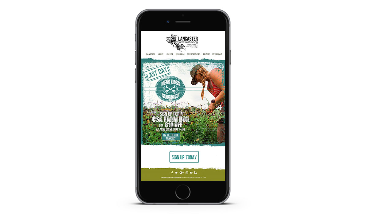 social media and email marketing for Lancaster Farm Fresh