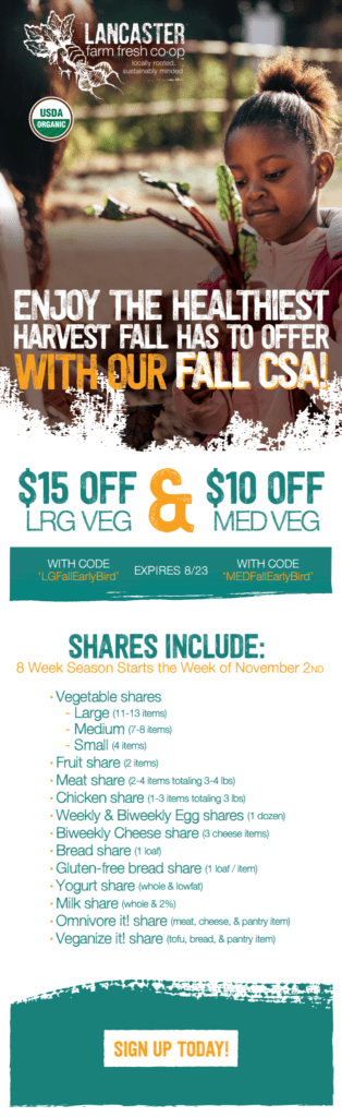 Email-marketing-agency-Philadelphia-002