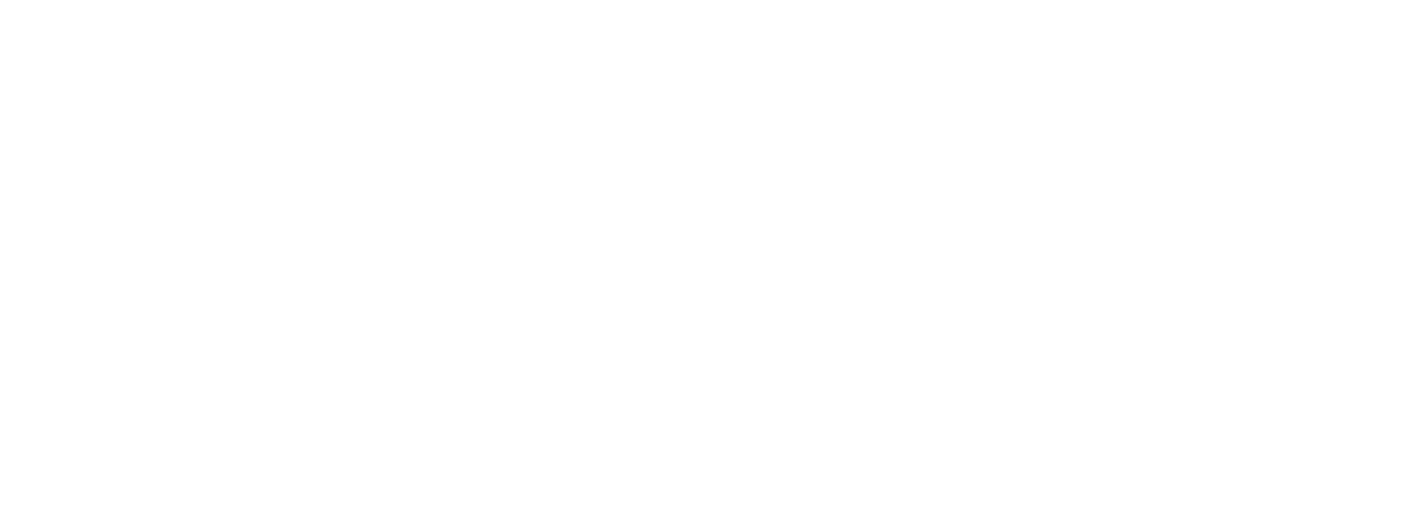 Kong Dog Franchise Marketing Client Logo