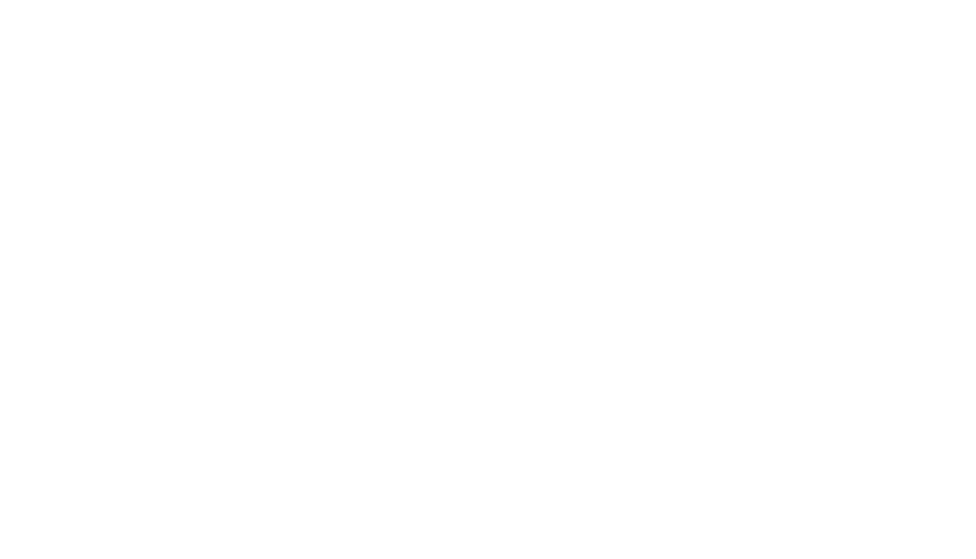 09-DucklingsFranchise_LOGO